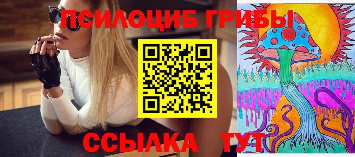 Псилоцибиновые грибы прущие грибы  Галлюциногенные грибы Psilocybine cubensis  Кызыл  Вход с VPN 