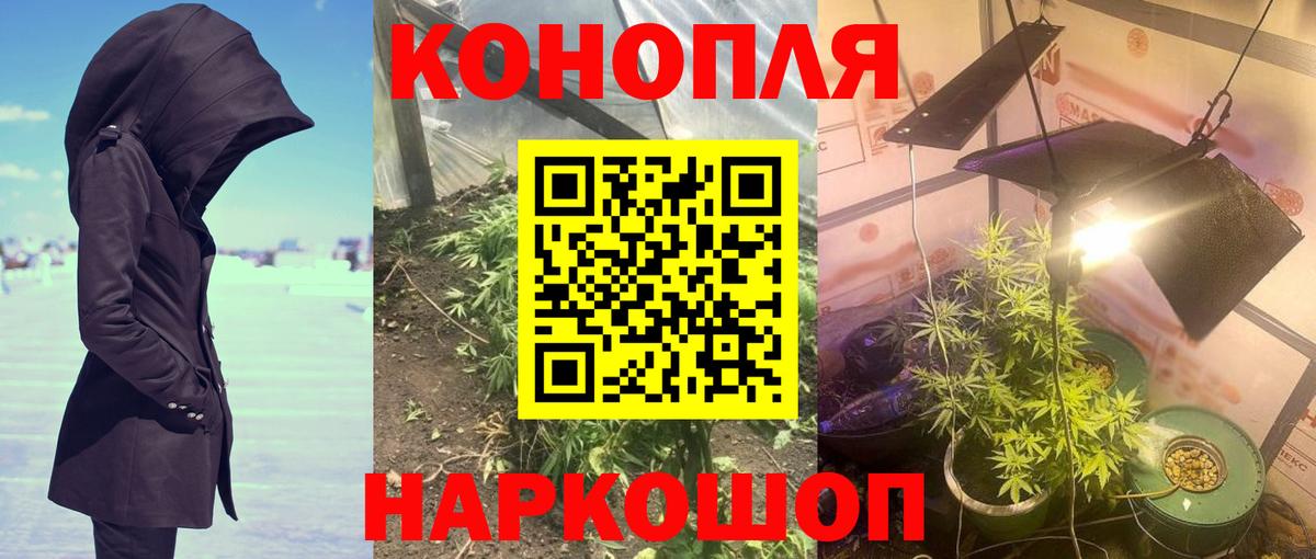 МАРИХУАНА план  Каннабис марихуана  Вход с VPN  Кызыл  Конопля индика 